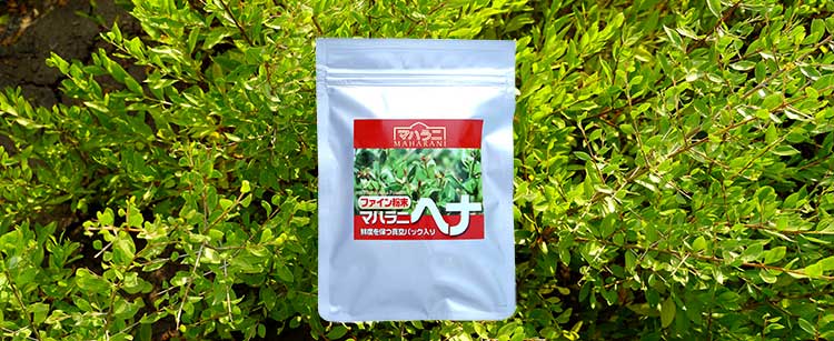 マハラニ ヘナ ファイン☆ヘナとインドハーブ通販ショップ＜アート