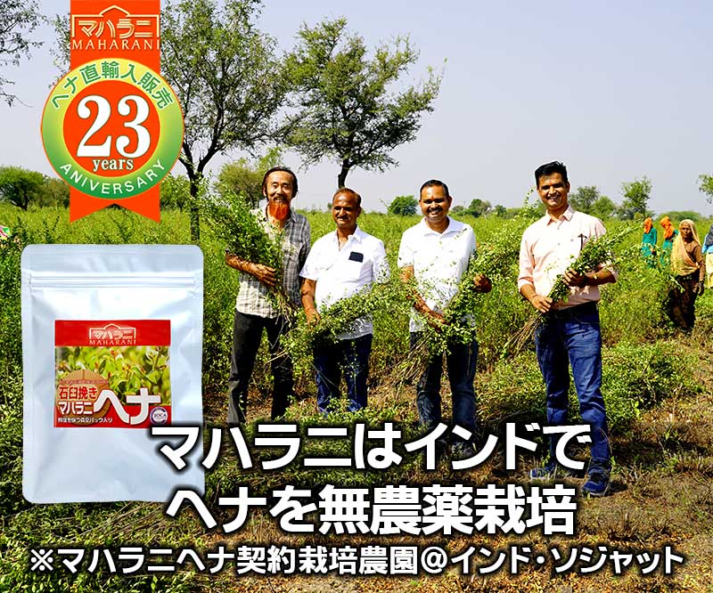 2025年10月産マハラニヘナ石臼挽き