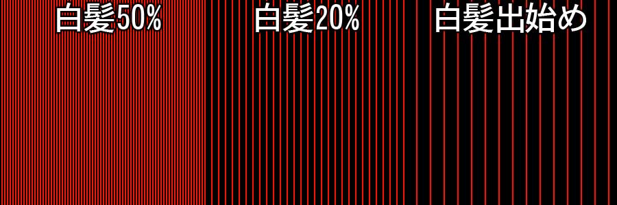 ヘナ染め２回めのヘナカラー