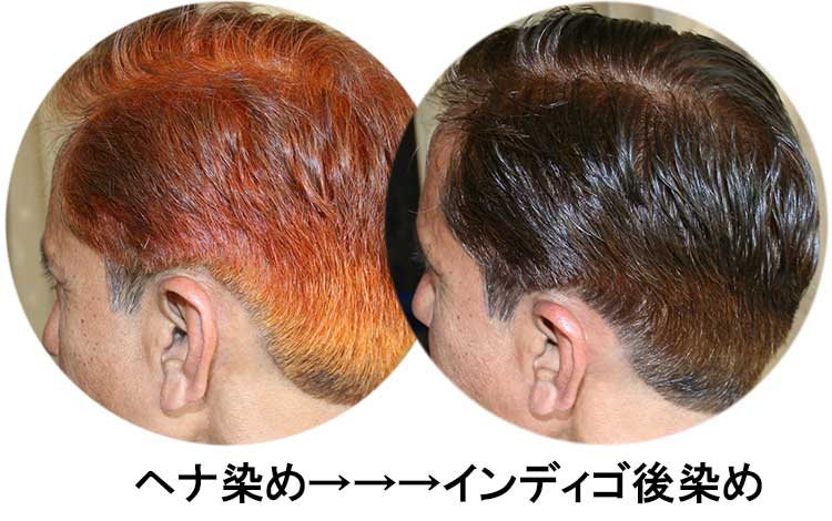 ヘナで白髪を染めると、赤オレンジに発色（左写真）インディゴで後染めするとほぼ黒髪へ発色（右写真）