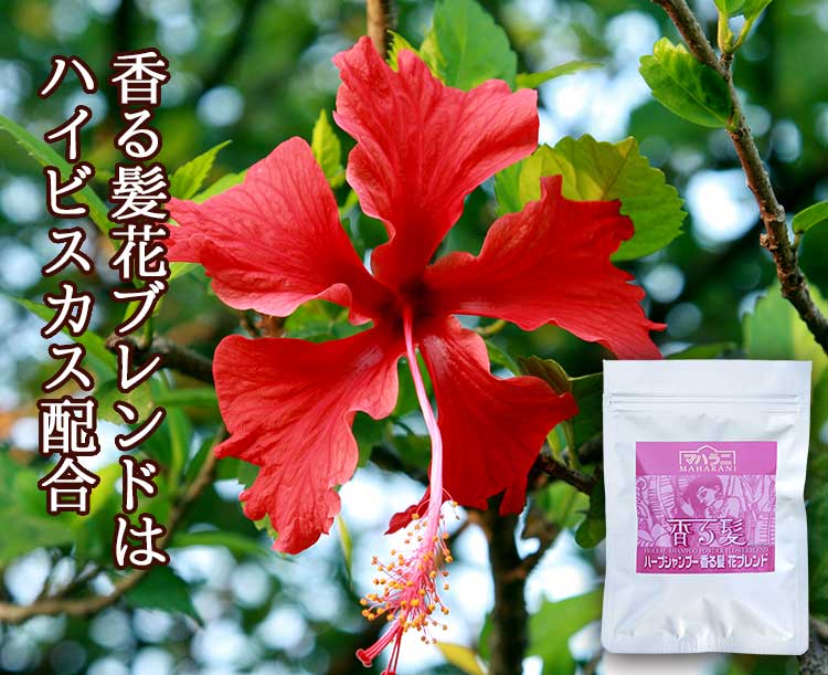 インドではジャスワンドと呼ばれるハイビスカス（和名：ブッソウゲ）の花弁