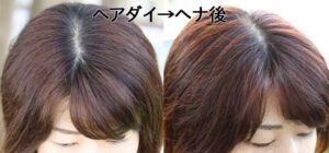 ヘアダイ頭にヘナした状態