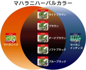 マハラニハーバルカラーの色味