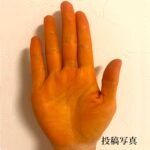 素手でセルフヘナ体験談♪手の平は、想像以上にきれいなオレンジ色に染まりました！