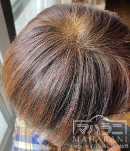 ハーバルカラー3ブラウンの染まり