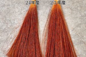 ２３年産２４年産石臼挽き