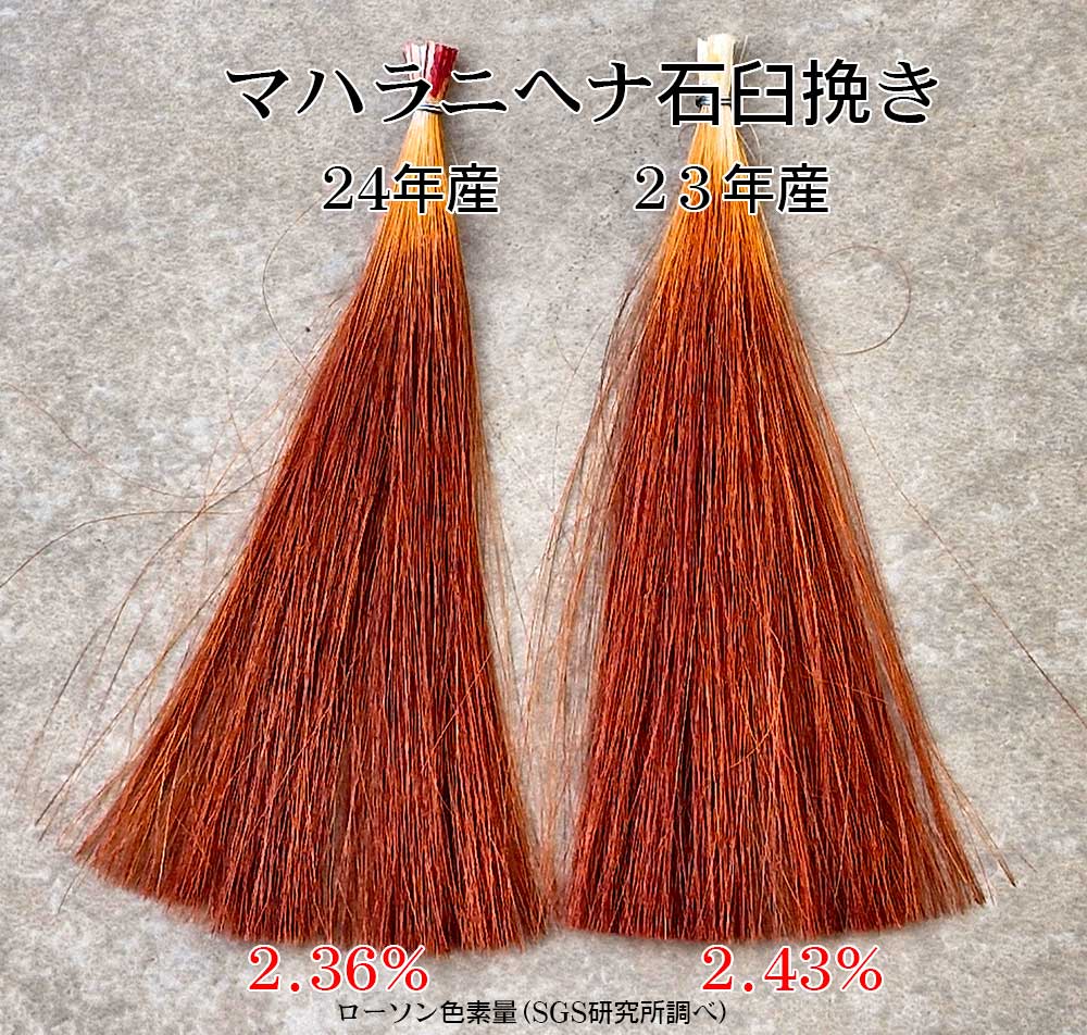 ２３年産２４年産石臼挽き