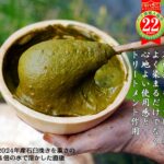 ヘナ石臼挽きのペースト