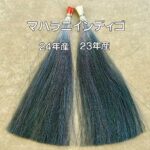 インディゴ染毛力比較