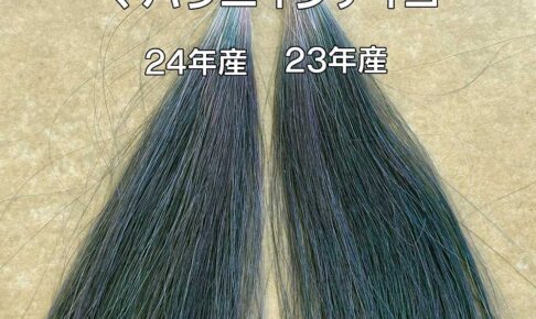 インディゴ染毛力比較