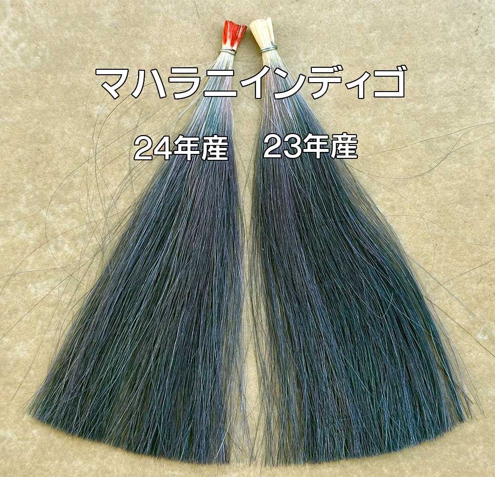 インディゴ染毛力比較