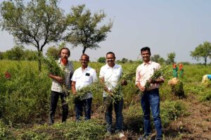 ヘナブラザーズ