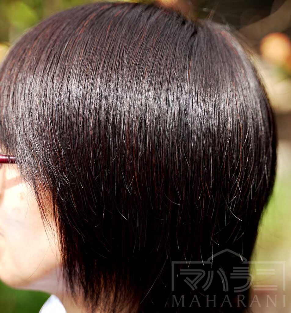 黒髪にヘナカラーが入る