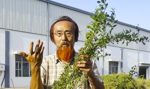 まはソジャット