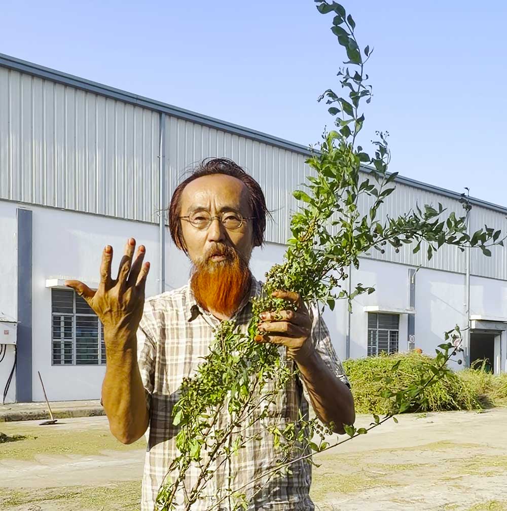 まはソジャット