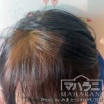 ハーバルカラー後