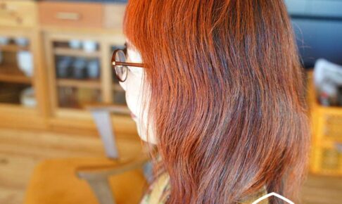 マハラニヘナの染まり方