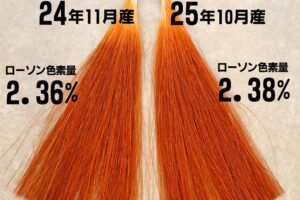 マハラニヘナ石臼挽き比較