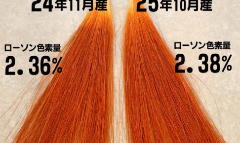 マハラニヘナ石臼挽き比較