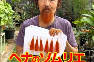 ヘナのソムリエというお仕事