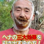 ヘナの三大効果を引き出す染め方