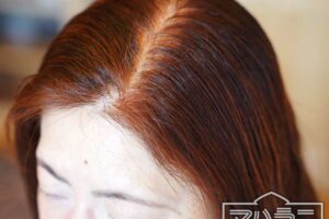 ヘナ染めヘナカラー