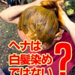 ヘナは白髪染めではない？