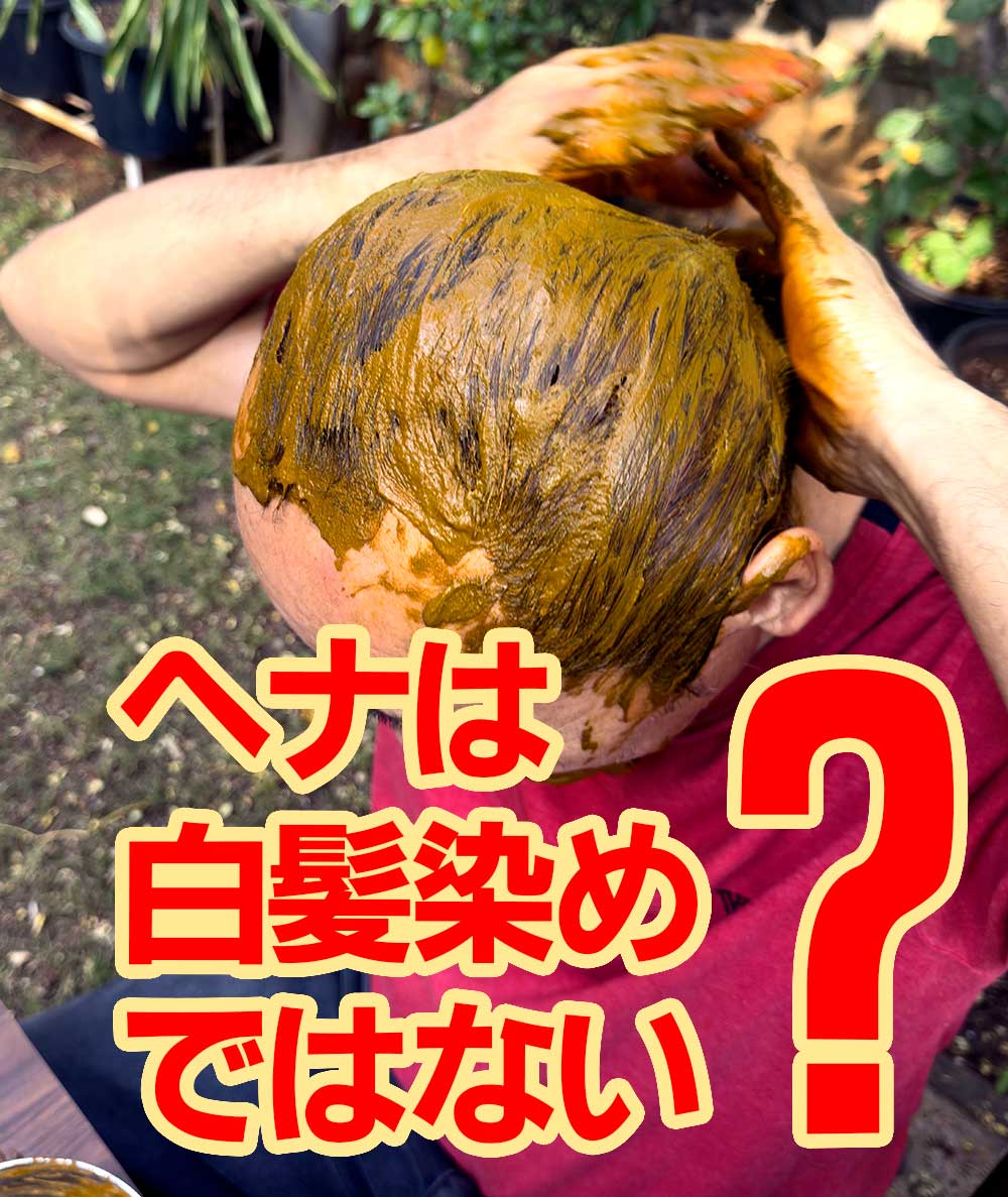 ヘナは白髪染めではない？
