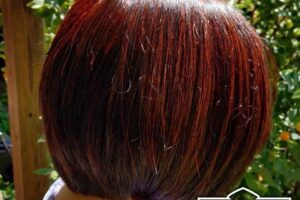 momoe 50代/女性 (神奈川県)