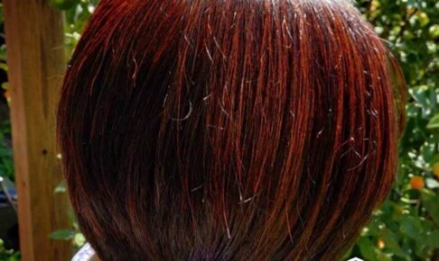 momoe 50代/女性 (神奈川県)