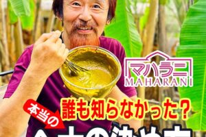 本当のヘナの染め方