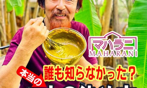 本当のヘナの染め方