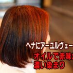 ヘナにアーユルヴェーダオイル