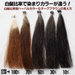 ハーバルカラーの染まり