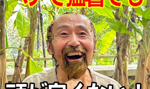 ヘナで猛暑でも頭が臭くない