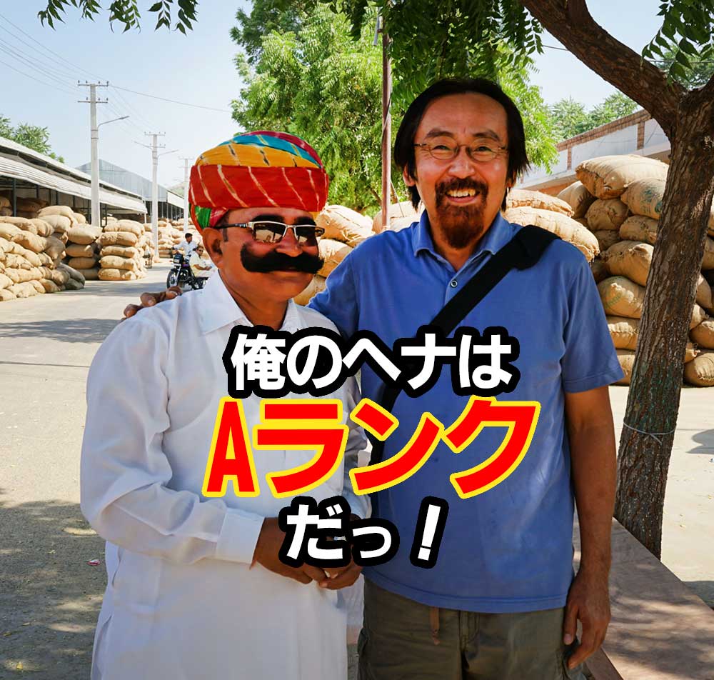 俺のヘナはAランクだ！