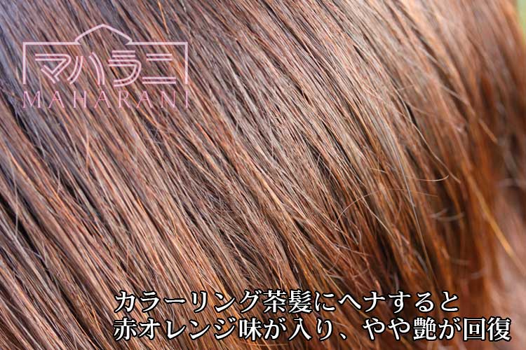 ↑ヘアカラー茶髪にヘナすると、ヘナには赤オレンジ色の色素がありますので、当然、赤味が増します↓